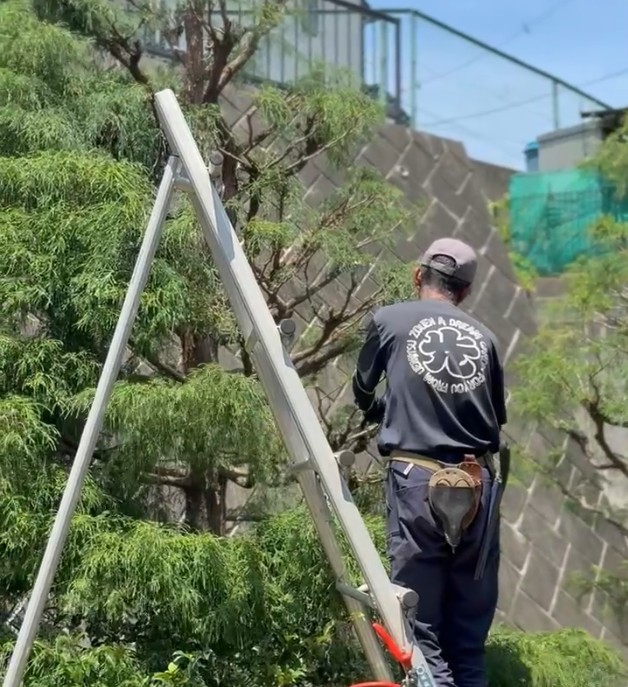 庭木の手入れ