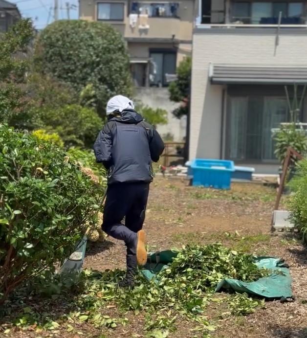 庭木の手入れ